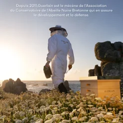 GUERLAIN Sérum>Abeille Royale