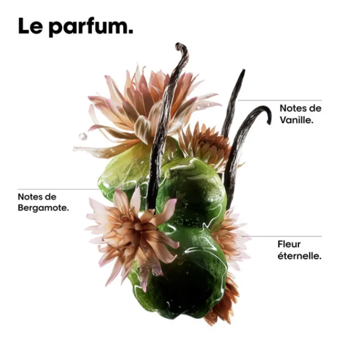 L'Oreal Professionnel Huile & Sérum|Cheveux Secs / Abîmés / Cassants>Absolut Repair Molecular Huile