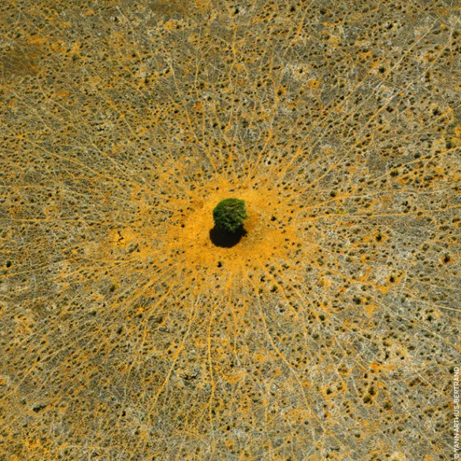 GUERLAIN Parfums Rechargeables|Eau De Toilette>AQUA ALLEGORIA