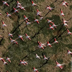 GUERLAIN Parfums Rechargeables|Eau De Toilette><noscript><img width=