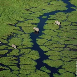 GUERLAIN Parfums Rechargeables|Eau De Toilette><noscript><img width=