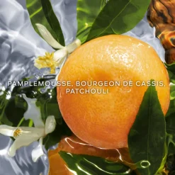 GUERLAIN Parfums Rechargeables|Eau De Toilette>AQUA ALLEGORIA