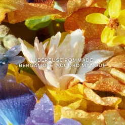 Femme GUERLAIN Eau De Toilette|AQUA ALLEGORIA