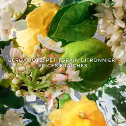 GUERLAIN Parfums Rechargeables|Eau De Toilette><noscript><img width=