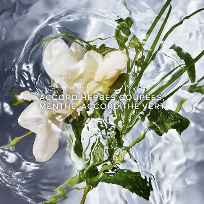 GUERLAIN Parfums Rechargeables|Eau De Toilette>AQUA ALLEGORIA