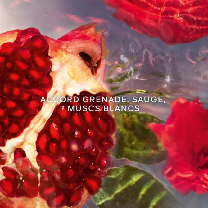 GUERLAIN Parfums Rechargeables|Eau De Toilette>AQUA ALLEGORIA