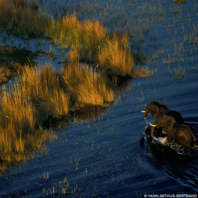 Femme GUERLAIN Parfums Rechargeables|Eau De Toilette|AQUA ALLEGORIA FORTE