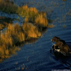 GUERLAIN Eau De Parfum><noscript><img width=