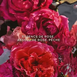 GUERLAIN Parfums Rechargeables|Eau De Parfum></noscript>AQUA ALLEGORIA FORTE