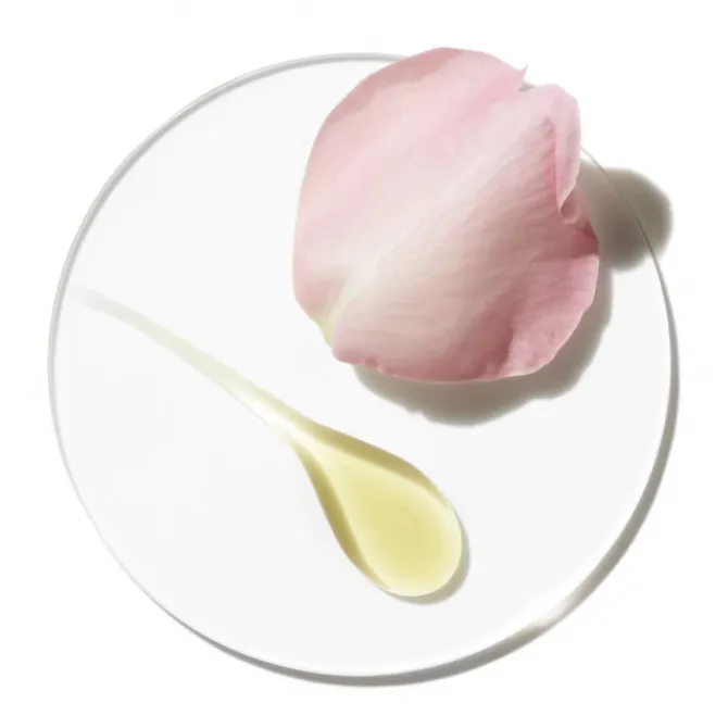 Clinique Eau De Parfum>Aromatics Elixir