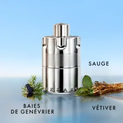 Azzaro Eau De Parfum></noscript>Wanted