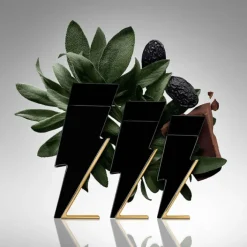 Homme Carolina Herrera Eau De Toilette|Bad Boy