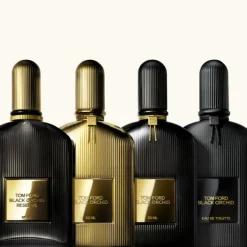 Tom Ford Parfums D'Exception|Parfums Mixtes></noscript>Black Orchid