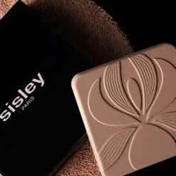 Sisley Poudre De Teint>Blur Expert