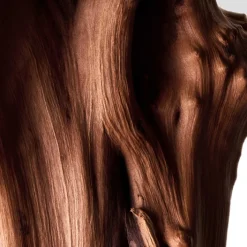 Reminiscence Parfums Mixtes|Bois Etoilé