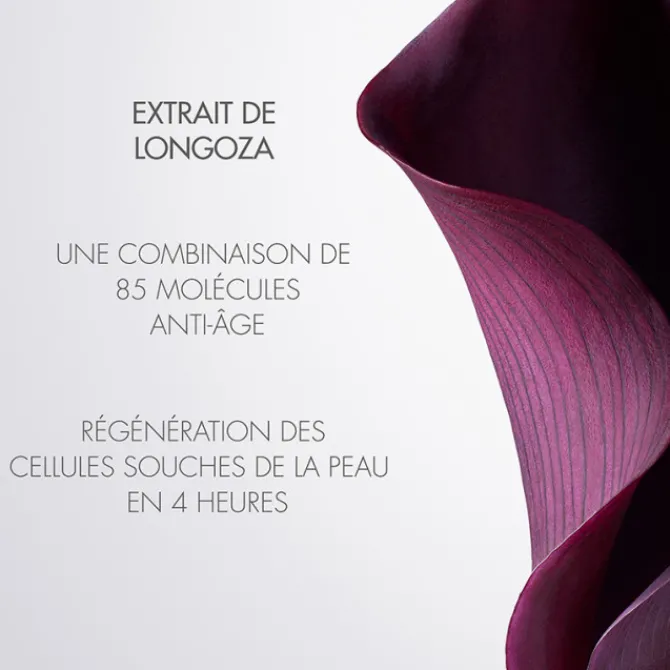 Dior Crème De Nuit>Capture Totale Crème de Nuit