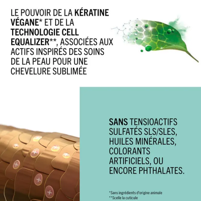 Schwarzkopf Cheveux Colorés / Méchés|Masques|Color Freeze Masque