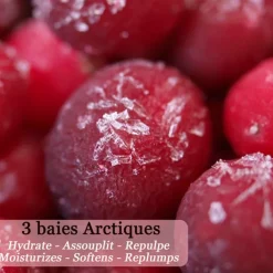 Polaar Crème De Nuit|Crèmes De Jour><noscript><img width=