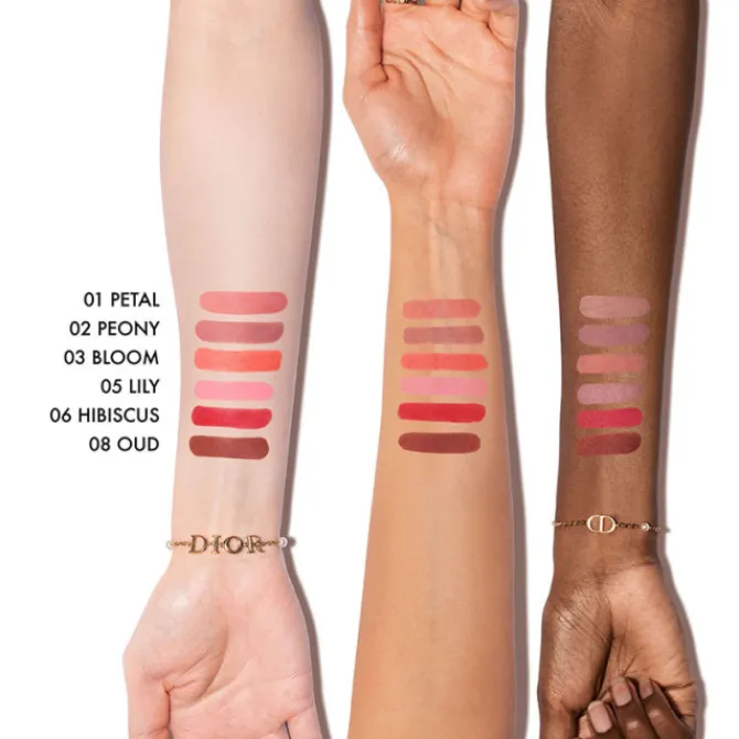 Dior Fard À Joue & Blush>Forever Blush Soft Filter