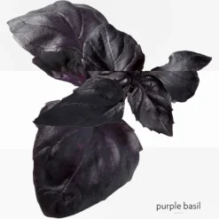 HERMES Parfums Mixtes|Parfums Rechargeables><noscript><img width=