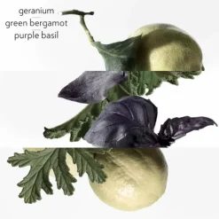 HERMES Parfums Mixtes|Parfums Rechargeables><noscript><img width=