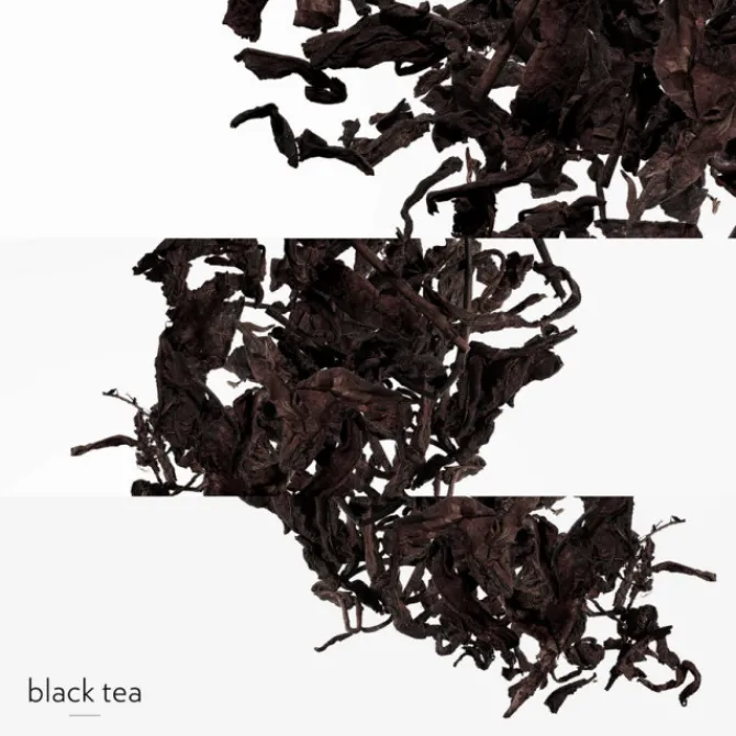 HERMES Parfums Mixtes|Eau De Cologne>Eau de Citron Noir - Eau de Cologne