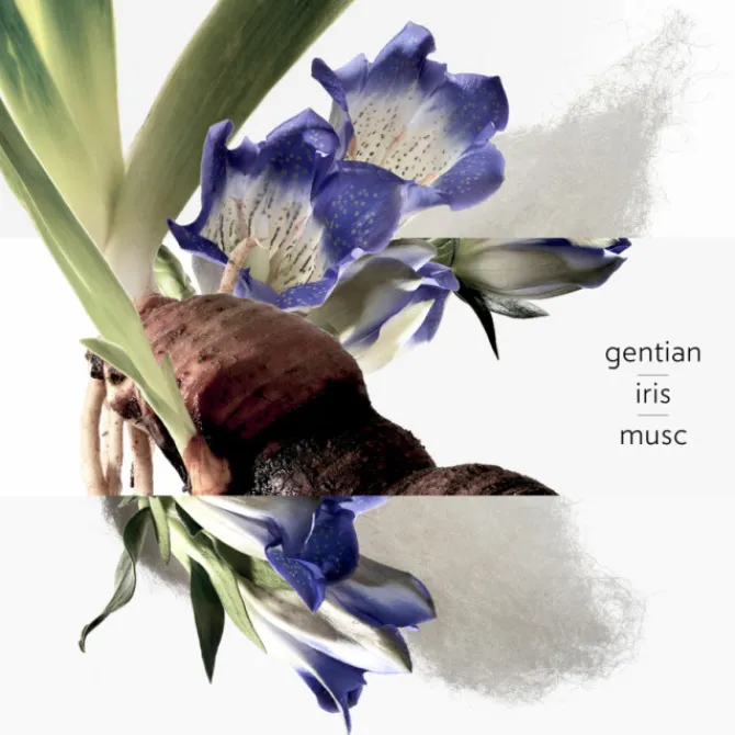 HERMES Parfums Mixtes|Eau De Cologne>Eau de Gentiane Blanche