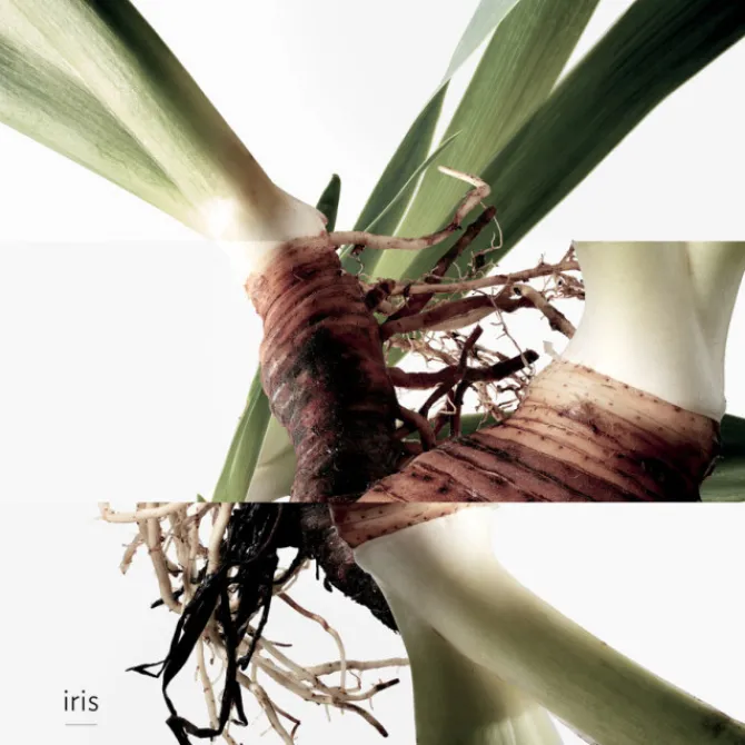 HERMES Parfums Mixtes|Eau De Cologne>Eau de Gentiane Blanche