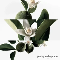 HERMES Parfums Mixtes|Eau De Cologne><noscript><img width=