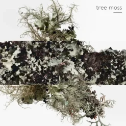 Femme HERMES Parfums Mixtes|Eau De Cologne|Eau d'Orange Verte