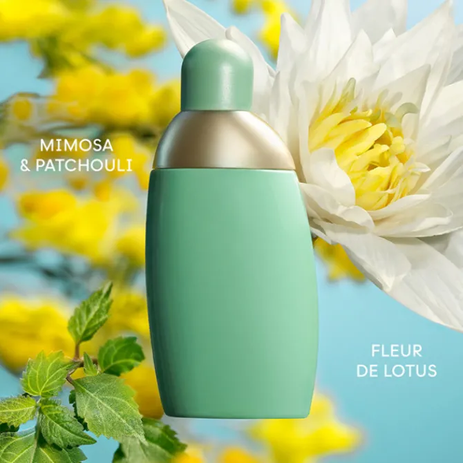 Cacharel Parfums Petits Prix|Eau De Parfum>Eden