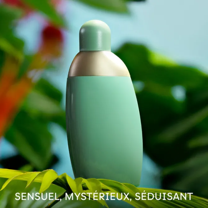 Cacharel Parfums Petits Prix|Eau De Parfum>Eden