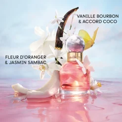 Cacharel Eau De Parfum>Ella Ella