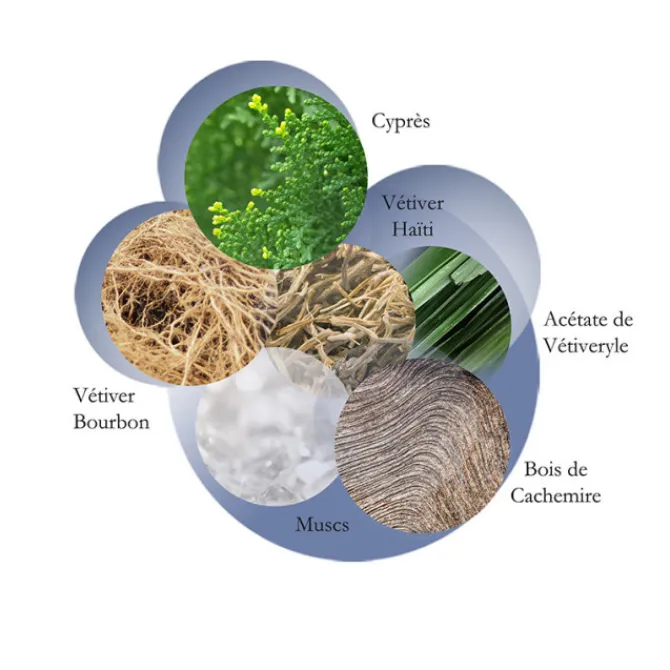 Lalique Eau De Toilette>Encre Noire