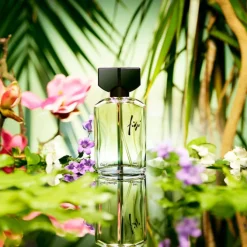 Guy Laroche Parfums Petits Prix|Eau De Toilette>Fidji