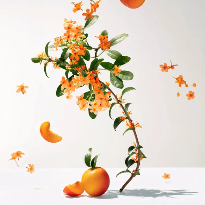 Roger et Gallet Parfums & Eaux De Soins|Eau De Cologne>Fleur d'Osmanthus