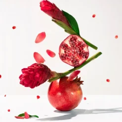 Roger et Gallet Douche & Bain|Bain & Douche>Gingembre Rouge