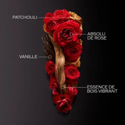 Shiseido Eau De Parfum>Ginza Intense