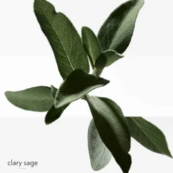 HERMES Parfums Rechargeables|Eau De Toilette><noscript><img width=