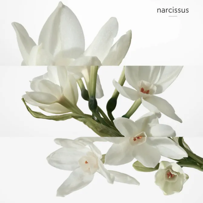 HERMES Parfums Rechargeables|Eau De Toilette>H24