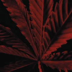 GUERLAIN Eau De Toilette><noscript><img width=