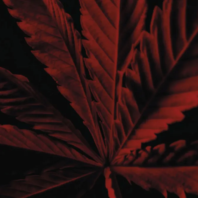 GUERLAIN Eau De Toilette>Habit Rouge L'Instinct