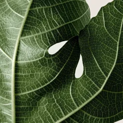 Reminiscence Parfums Mixtes><noscript><img width=