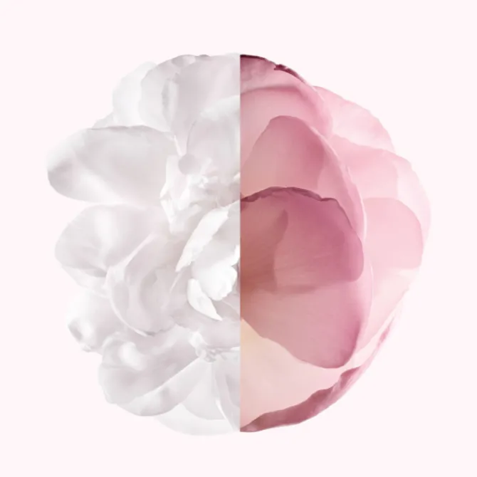 Femme Givenchy Eau De Parfum|Irrésistible