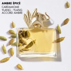 Femme Kenzo Eau De Parfum|JUNGLE