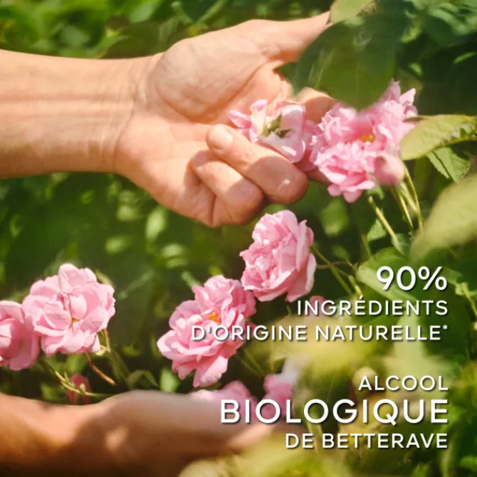 GUERLAIN Eau De Toilette>La Petite Robe Noire