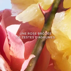 GUERLAIN Eau De Toilette><noscript><img width=