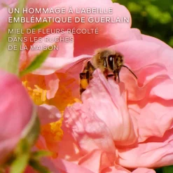 GUERLAIN Eau De Parfum></noscript>La Petite Robe Noire Honey Rose