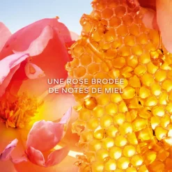 GUERLAIN Eau De Parfum></noscript>La Petite Robe Noire Honey Rose