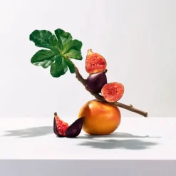 Roger et Gallet Soins Hydratants|Soin Hydratant>Lait Corps Repulpant Nourrissant